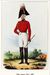 Форма одежды лейб-гвардии конного полка. 1731-1847