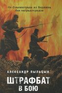 Штрафбат в бою. От Сталинграда до Берлина без заградотрядов