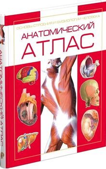 Анатомический атлас. Основы строения и физиологии