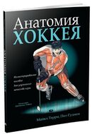 Анатомия хоккея