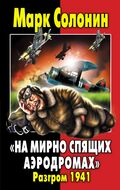 «На мирно спящих аэродромах…» Разгром 1941