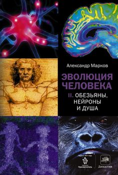 Эволюция человека. [В 2 кн.] Кн. 2. Обезьяны, нейроны и душа