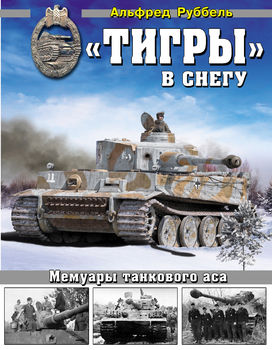 «Тигры» в снегу. Мемуары танкового аса 