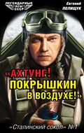 Ахтунг! Покрышкин в воздухе!» «Сталинский сокол» № 1