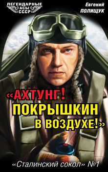 Ахтунг! Покрышкин в воздухе!» «Сталинский сокол» № 1