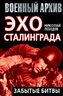 Эхо Сталинграда: забытые битвы