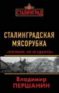 Сталинградская мясорубка. «Погибаю, но не сдаюсь!»