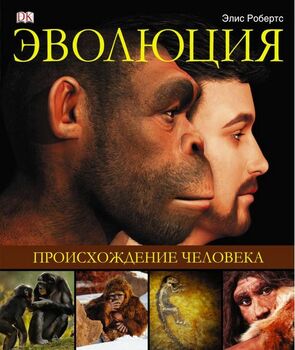 Эволюция. Происхождение человека